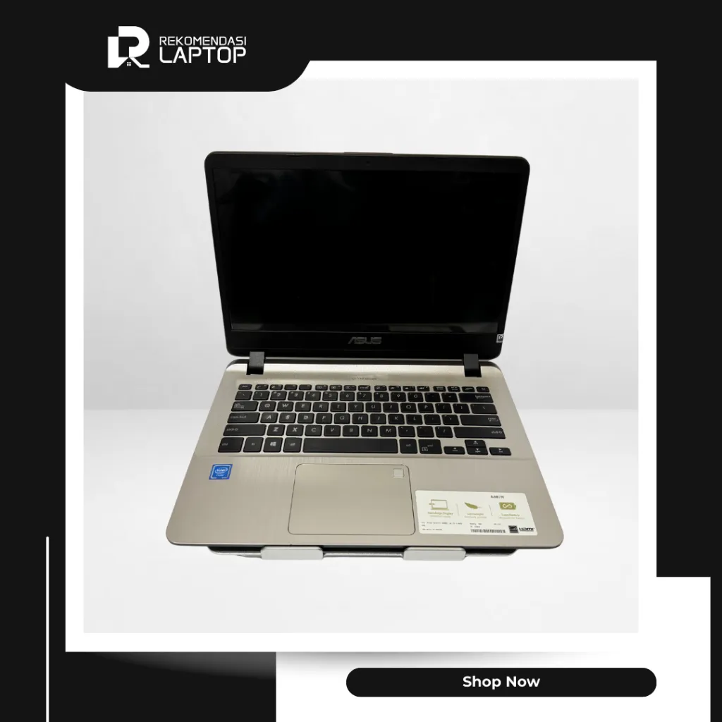 5.webp