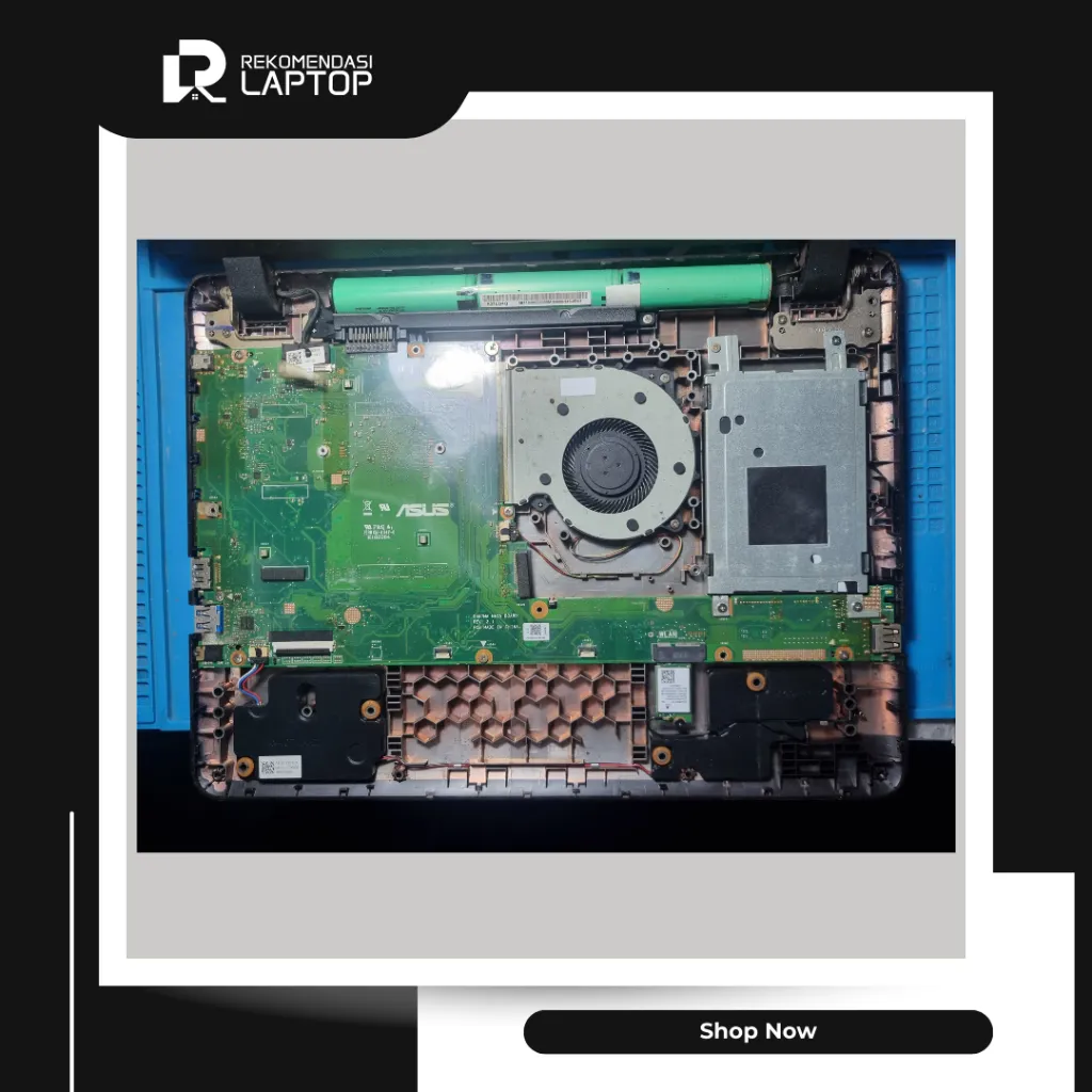 10.webp
