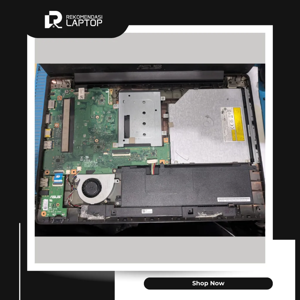 10.webp
