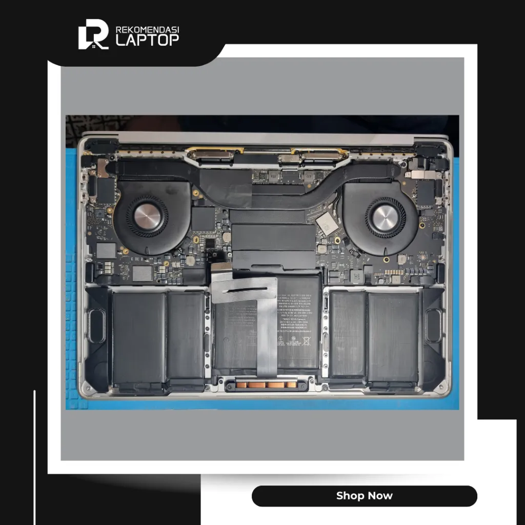 10.webp