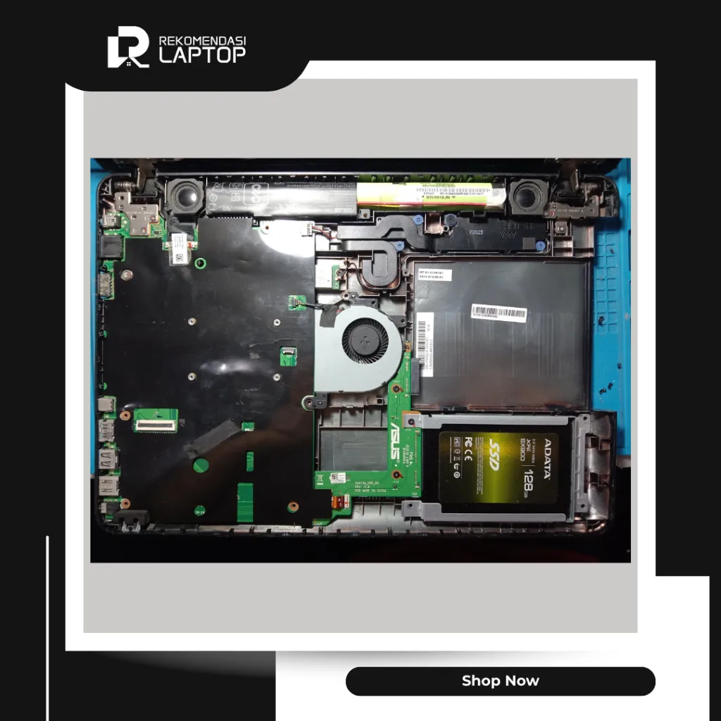 10.webp