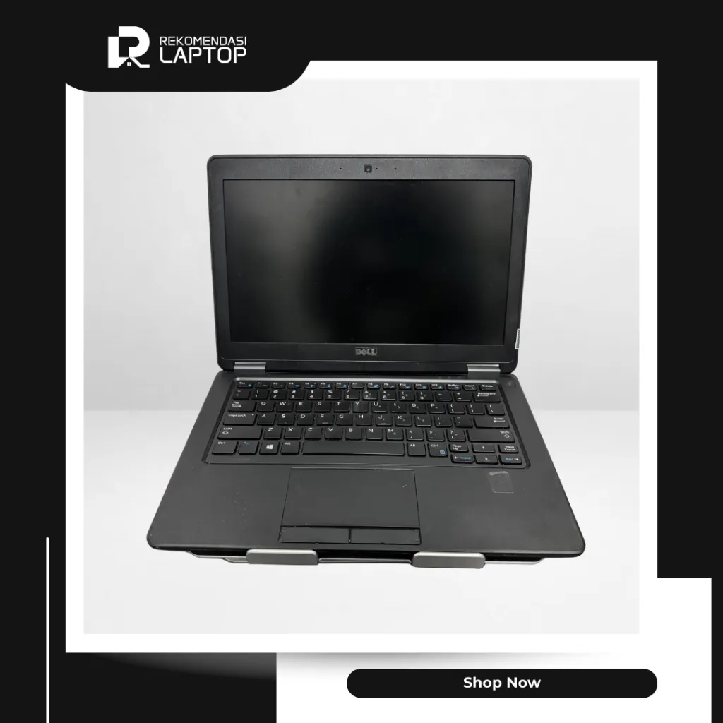 5.webp