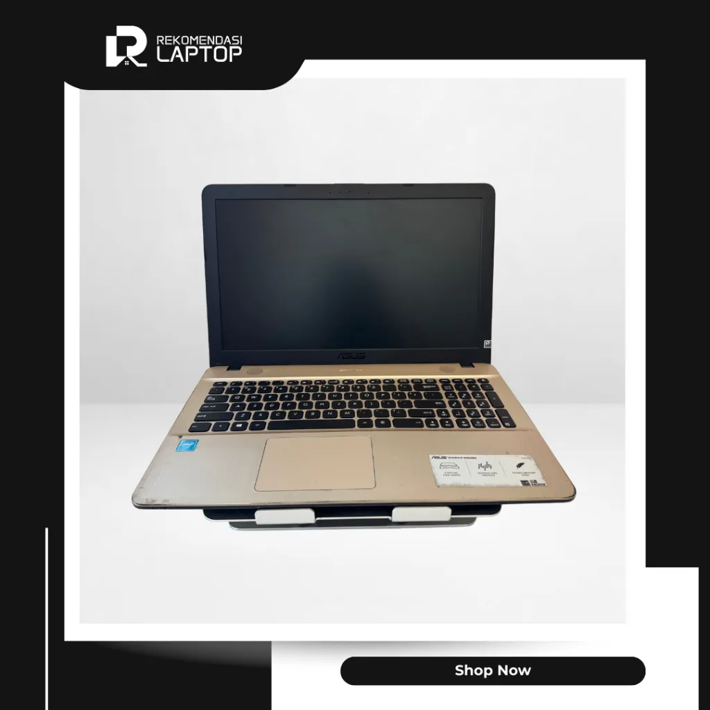 5.webp