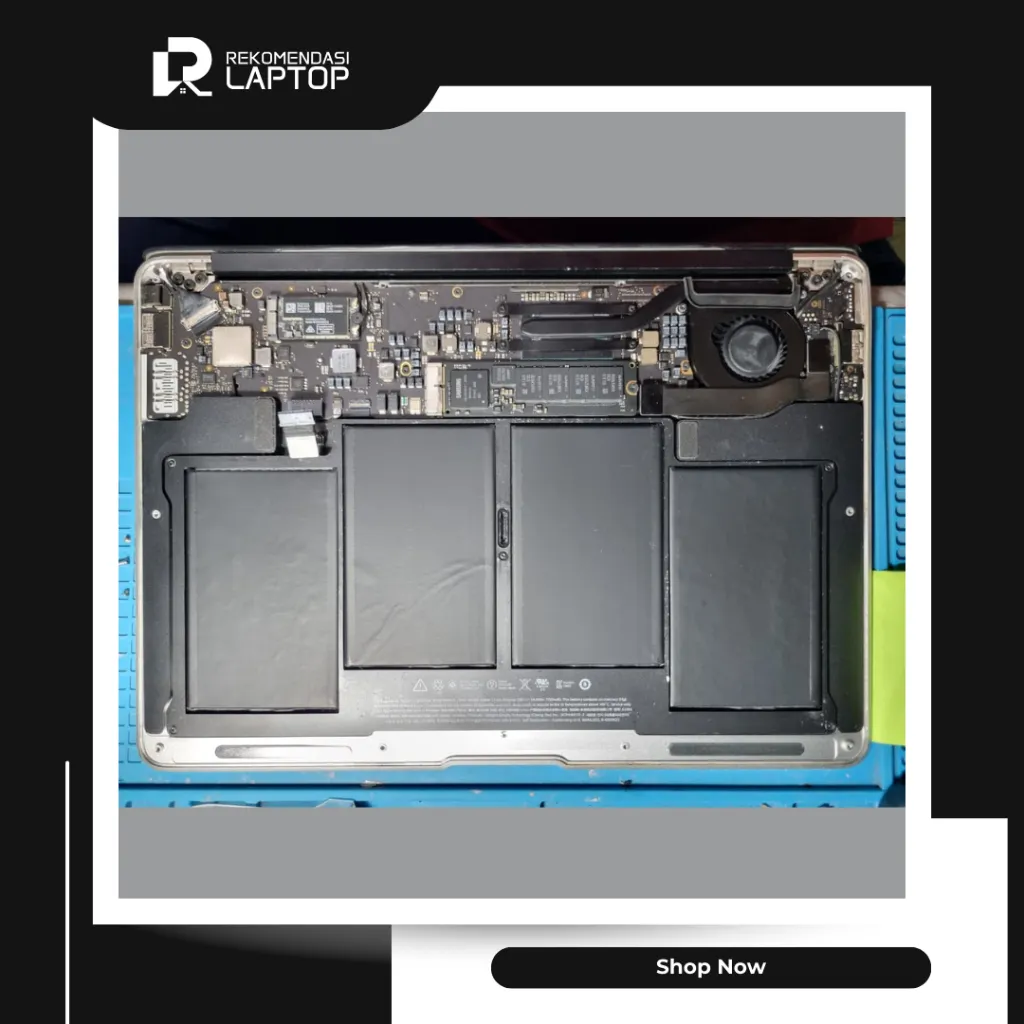 11.webp