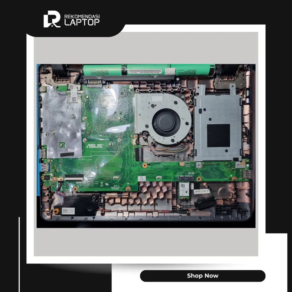 10.webp