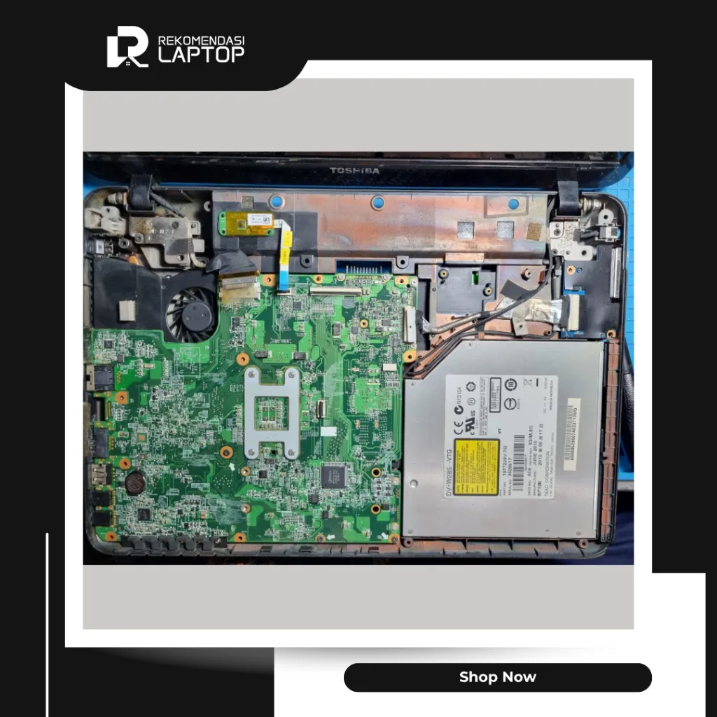 10.webp