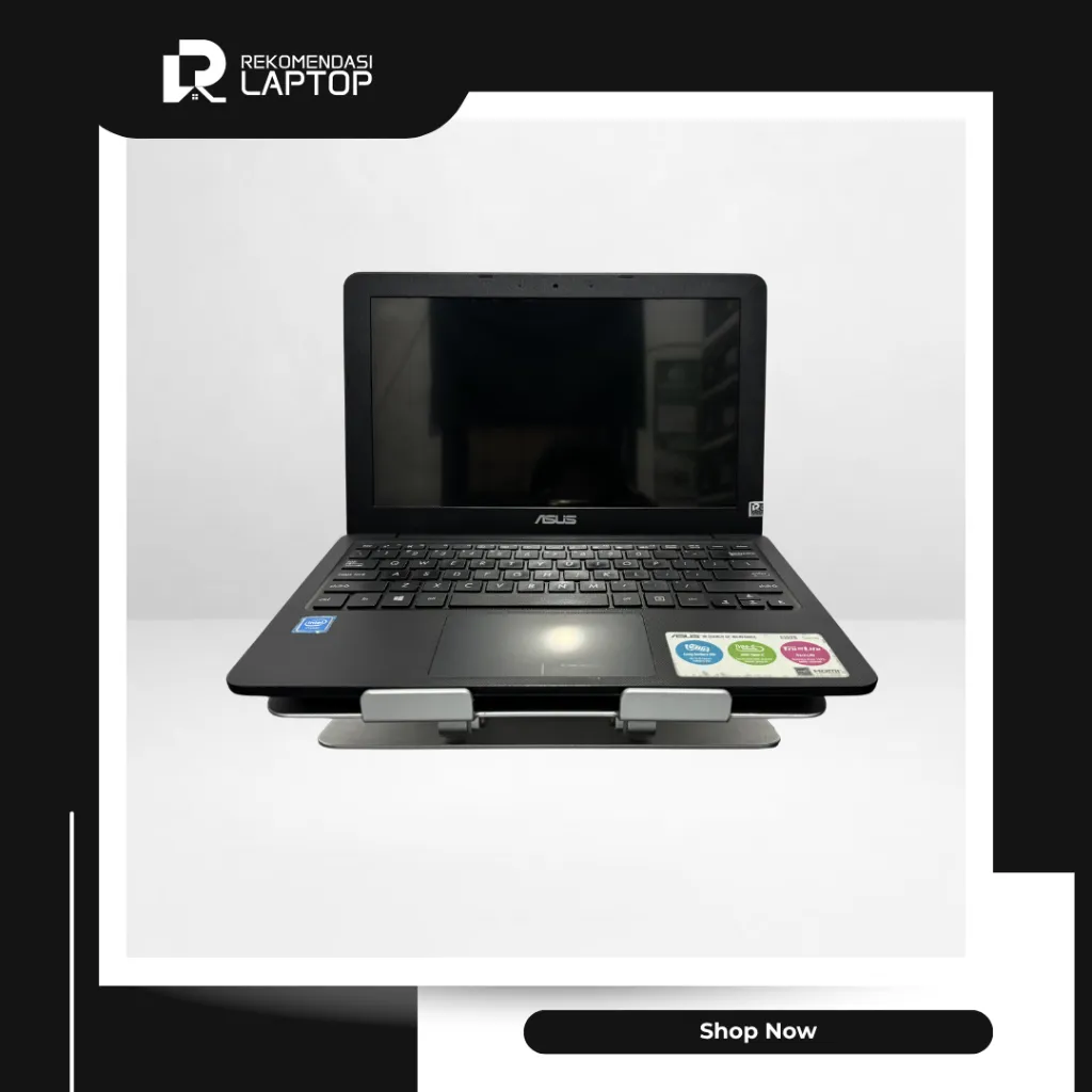 5.webp