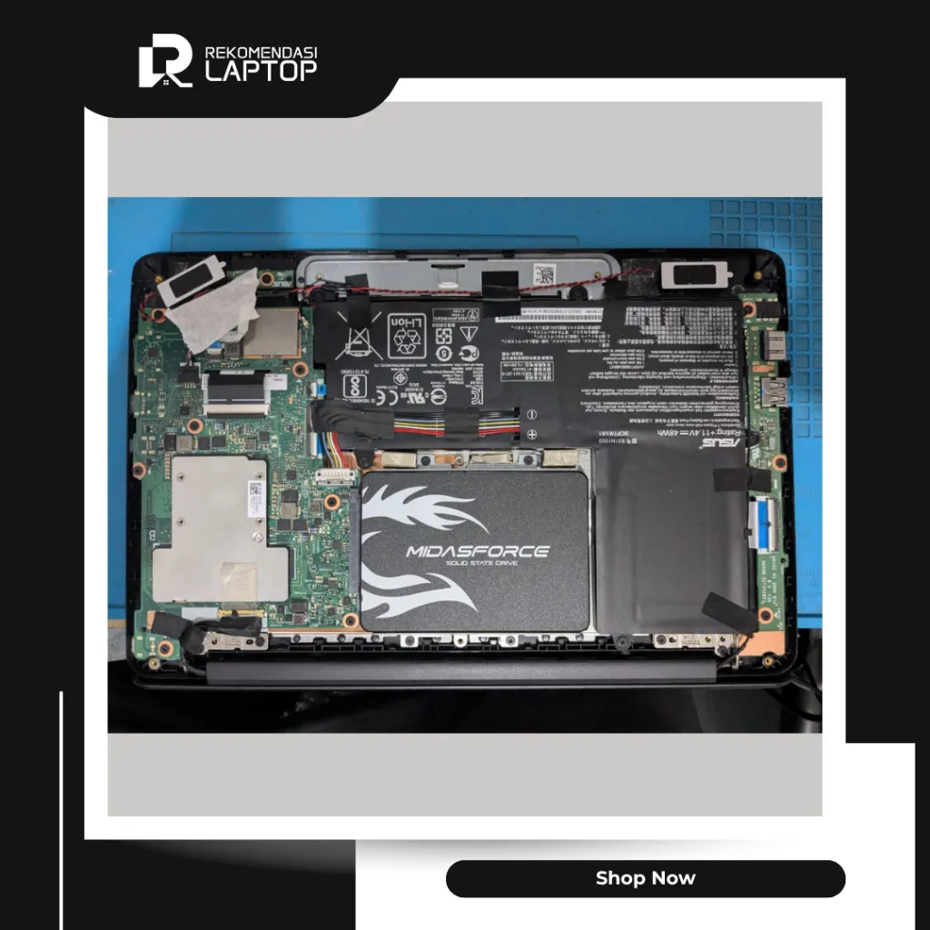 10.webp