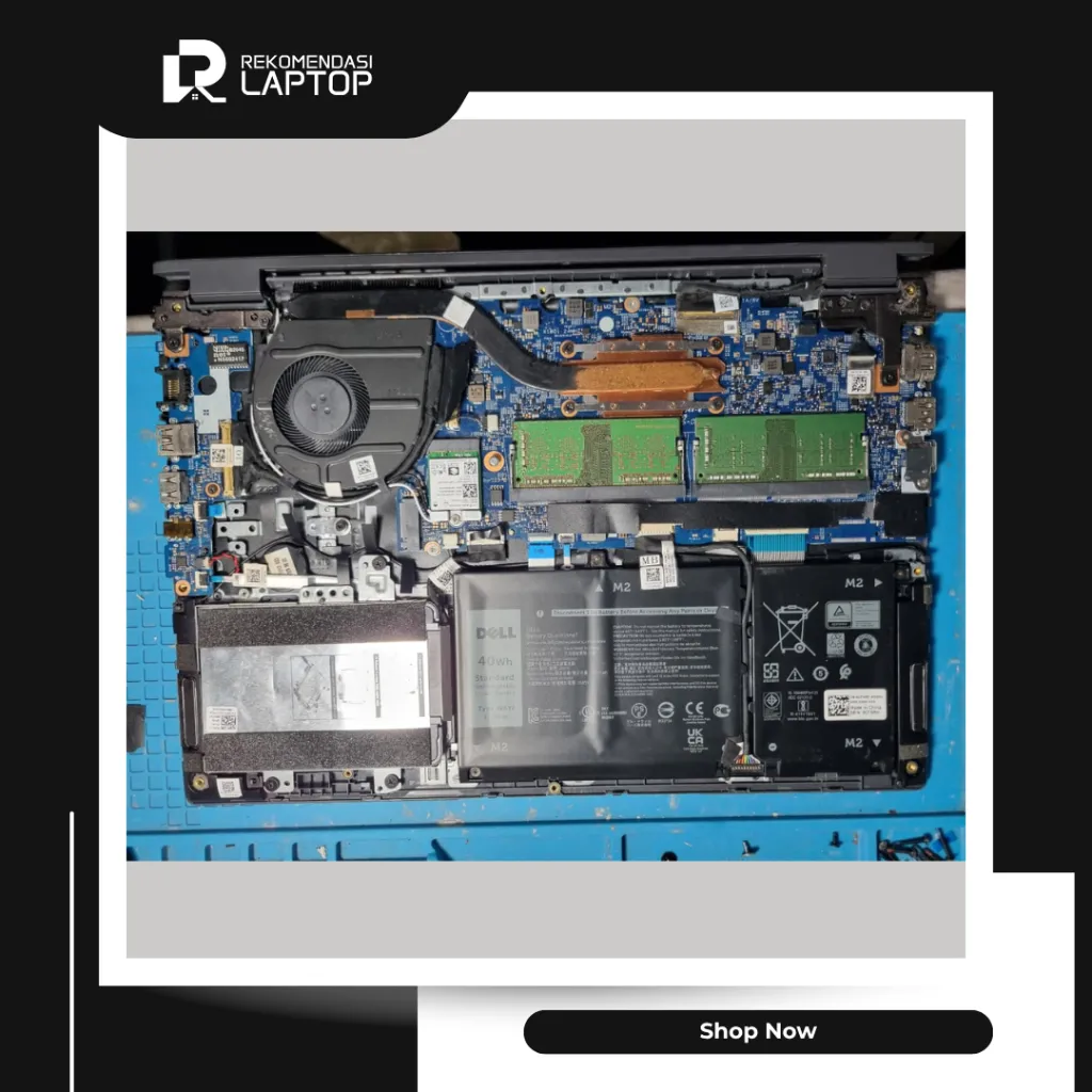 10.webp