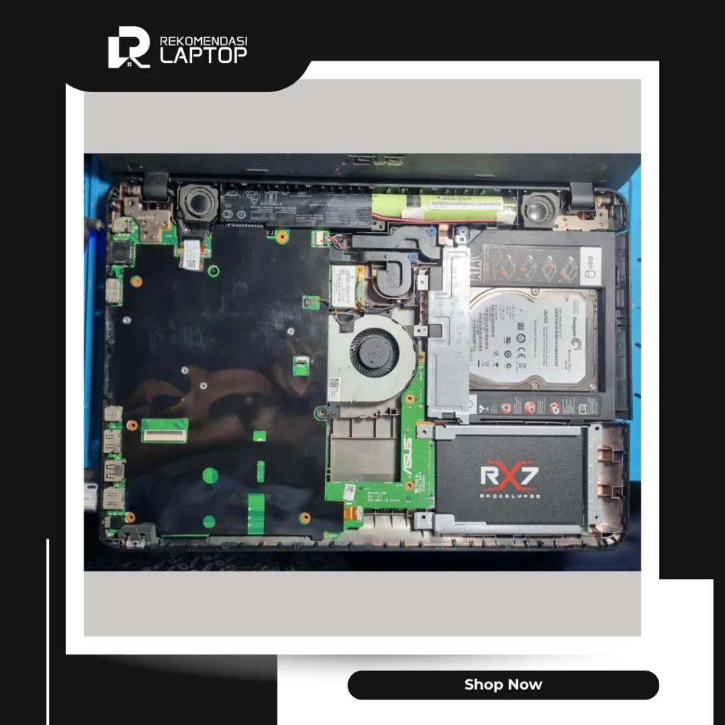 11.webp