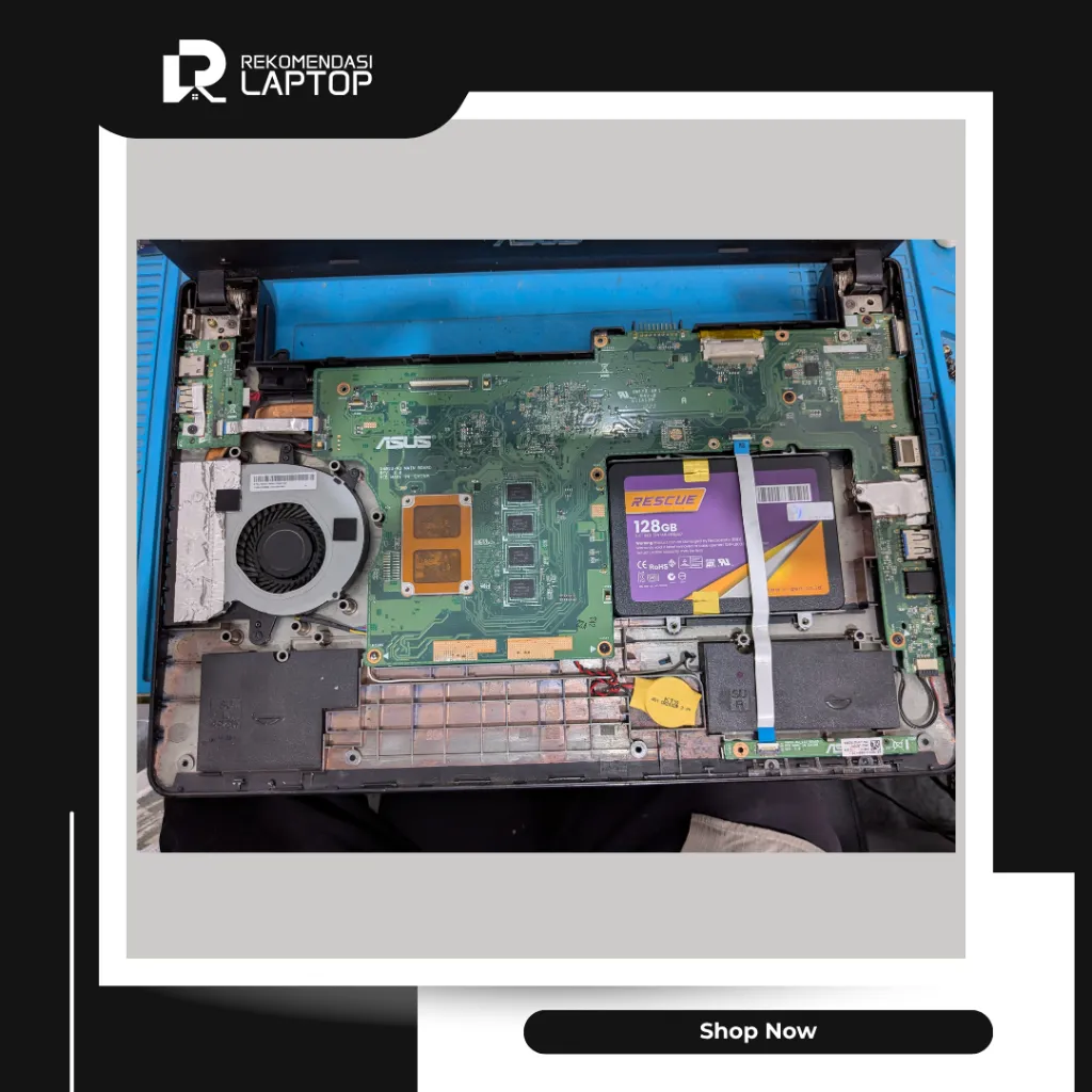 9.webp