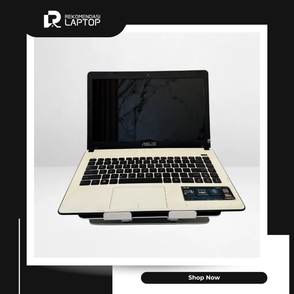 5.webp
