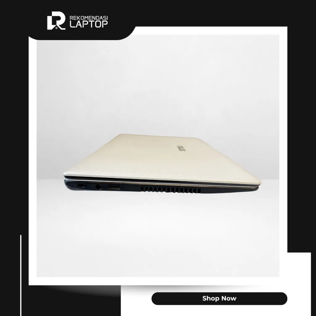 6.webp