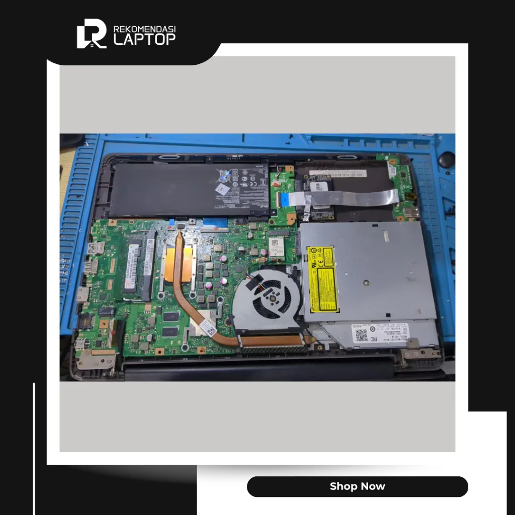 10.webp