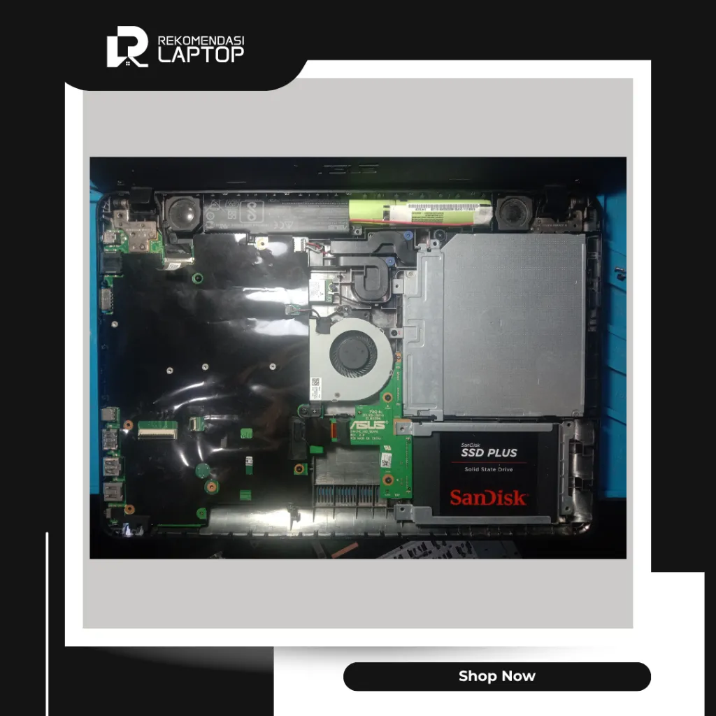 10.webp