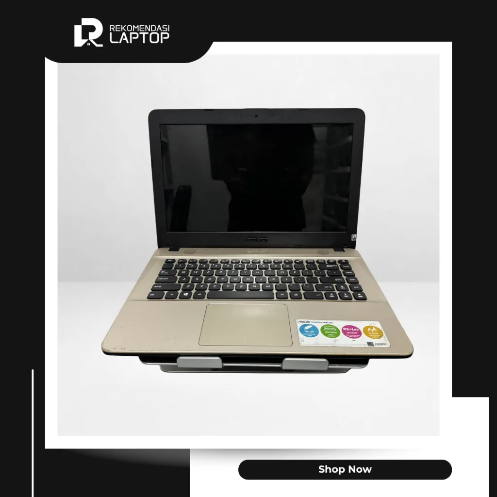 5.webp