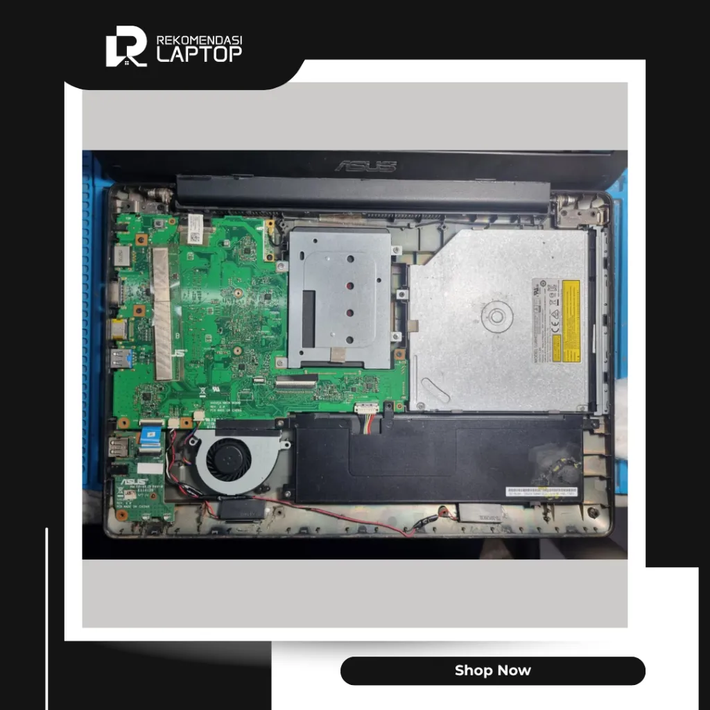 10.webp