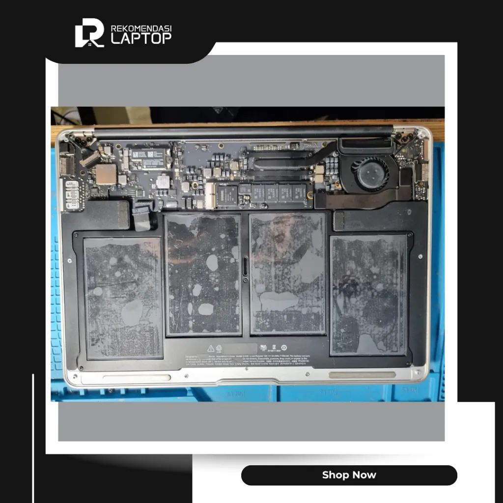 11.webp