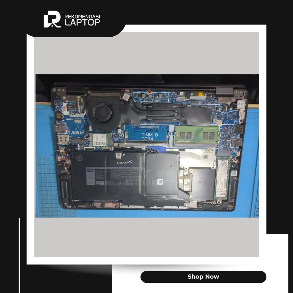 10.webp