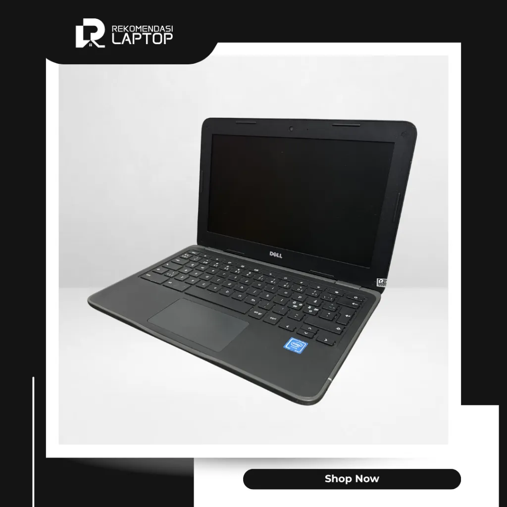 2.webp