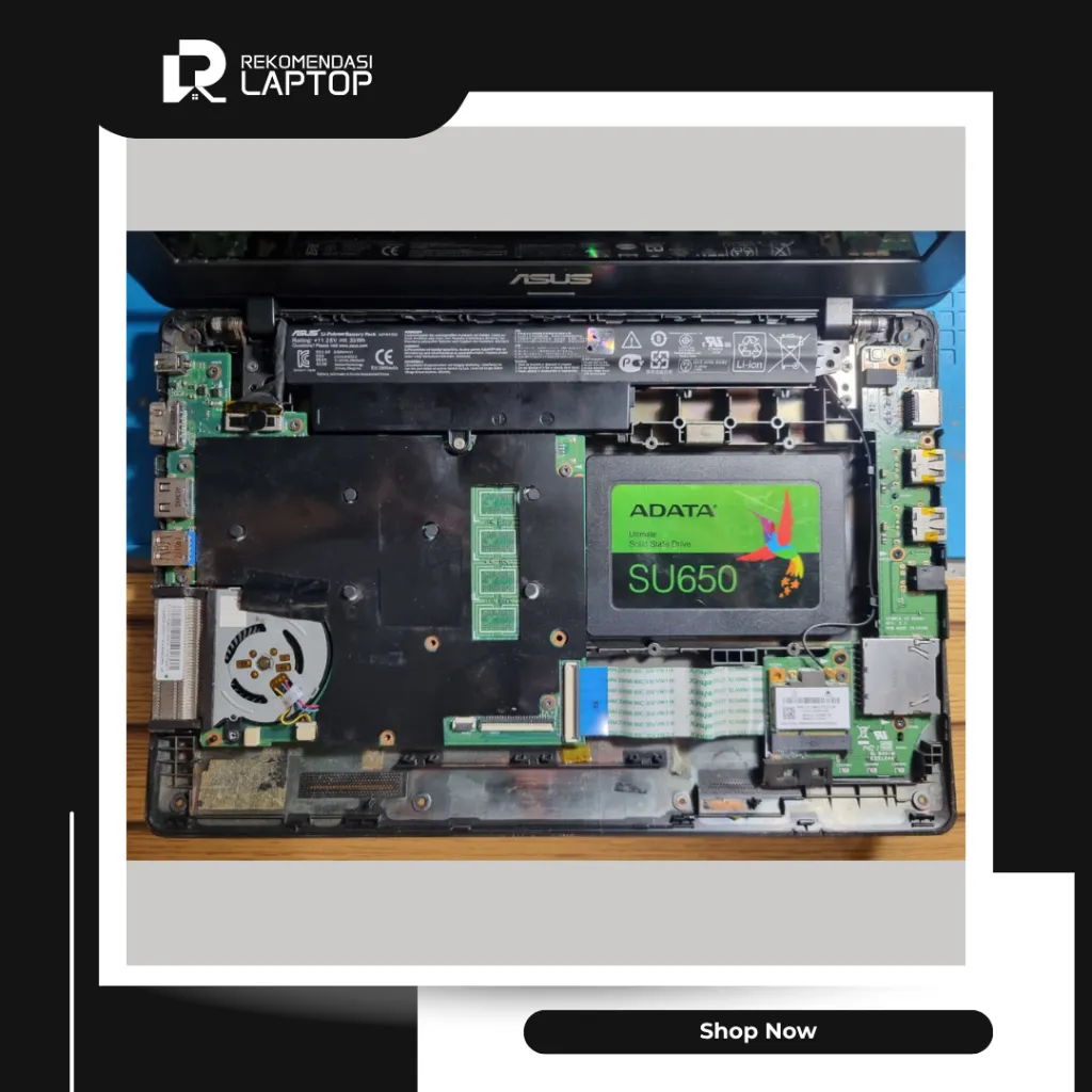 10.webp