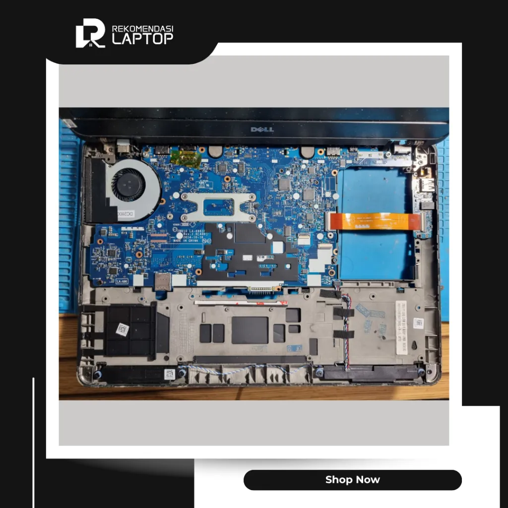 10.webp