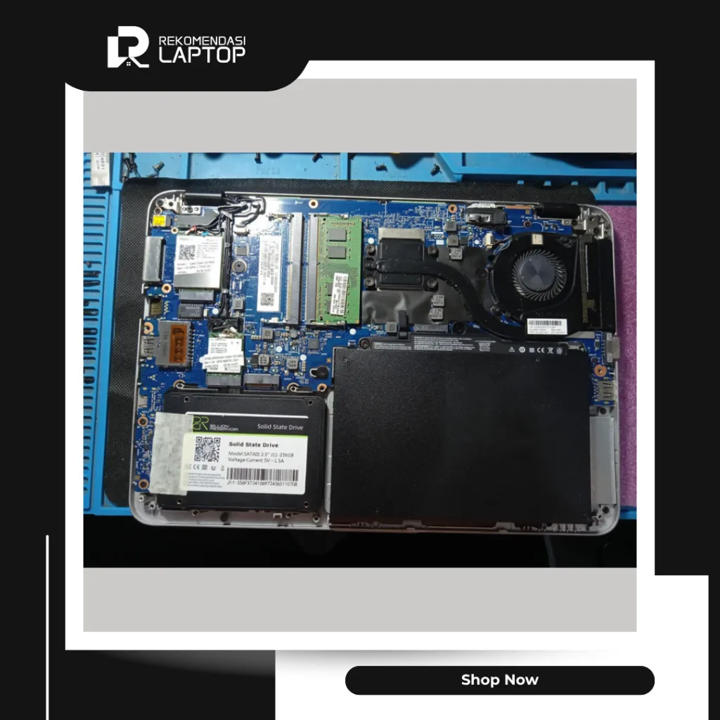 10.webp