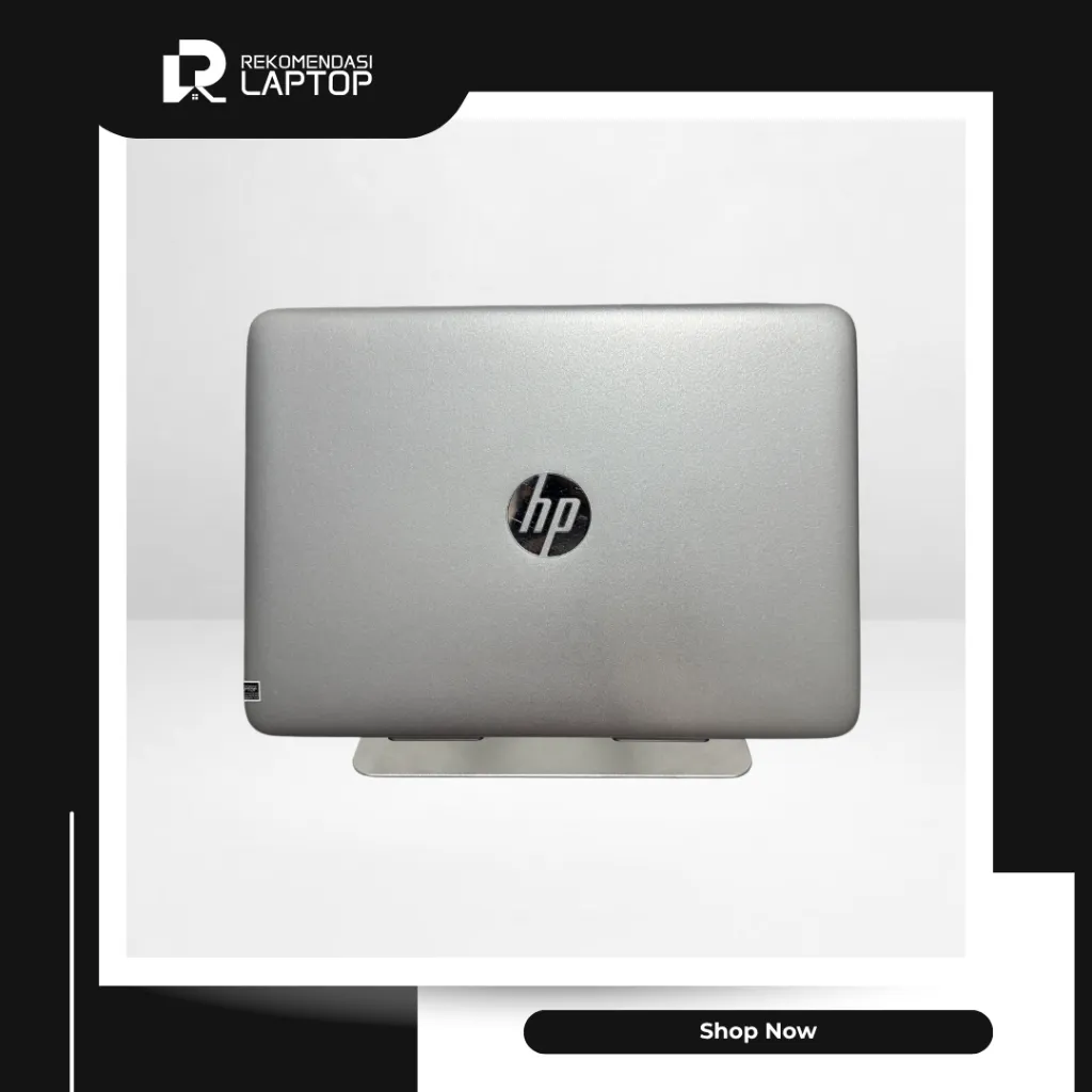 4.webp