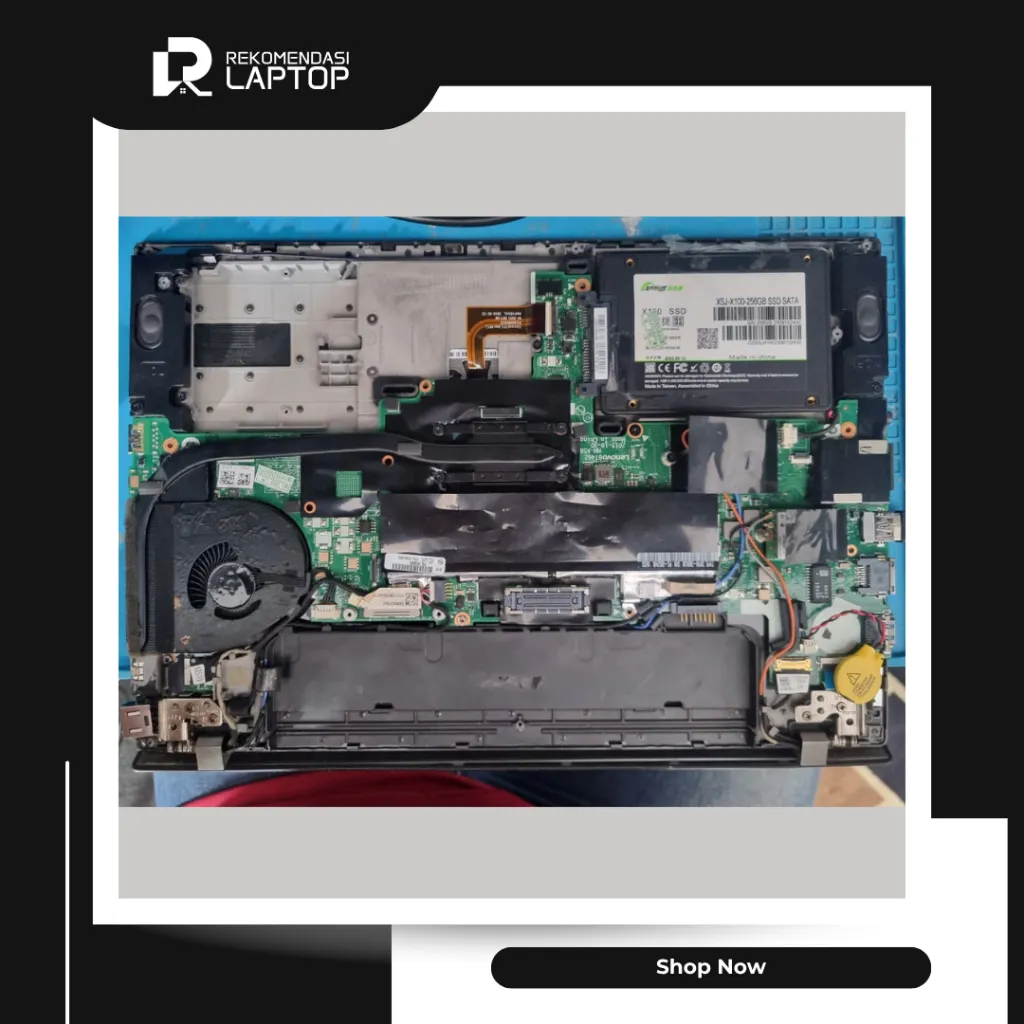 10.webp