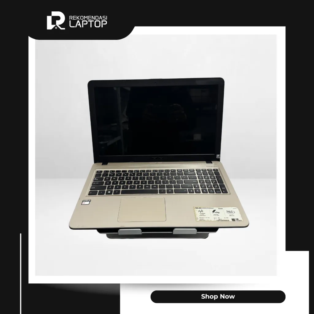 5.webp