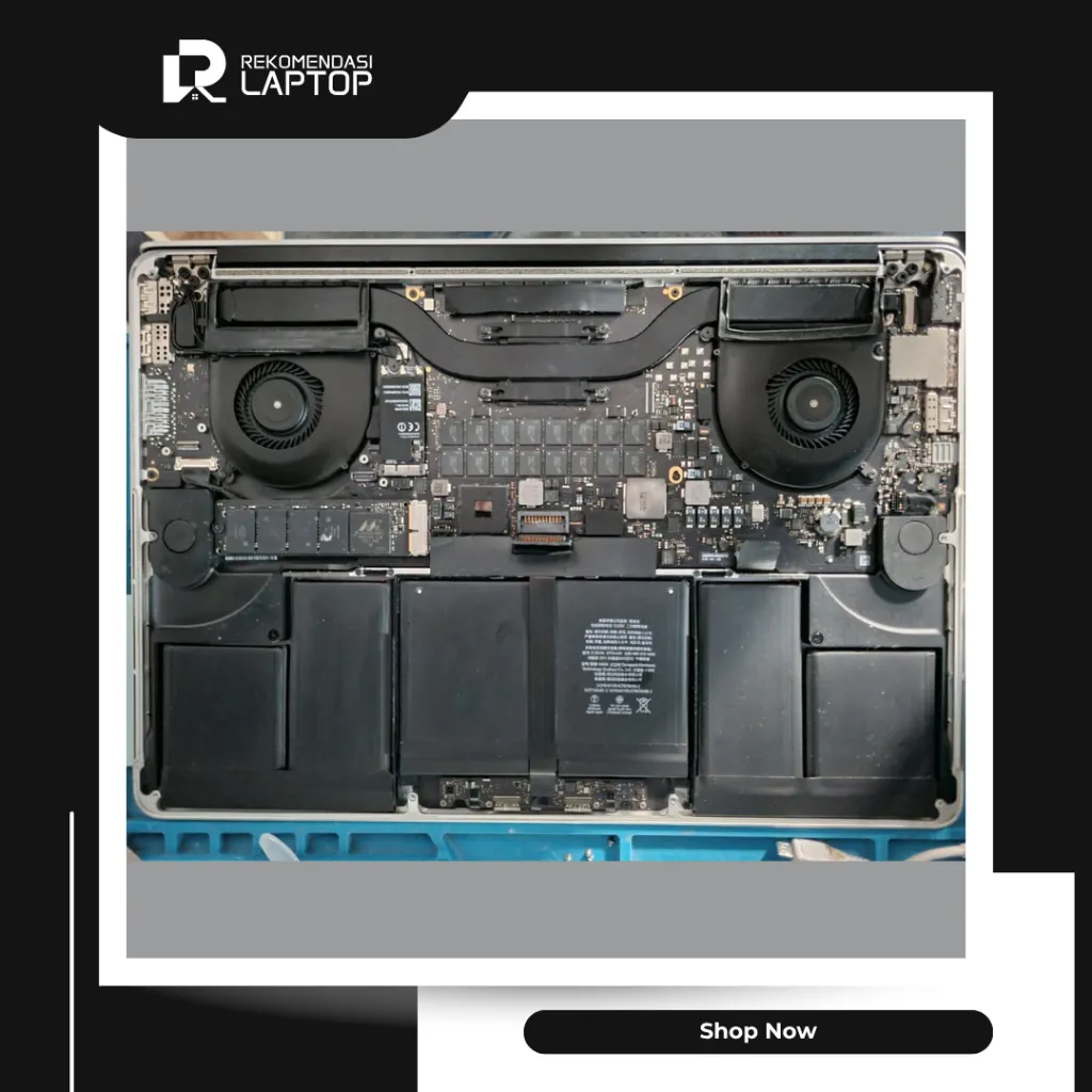 12.webp