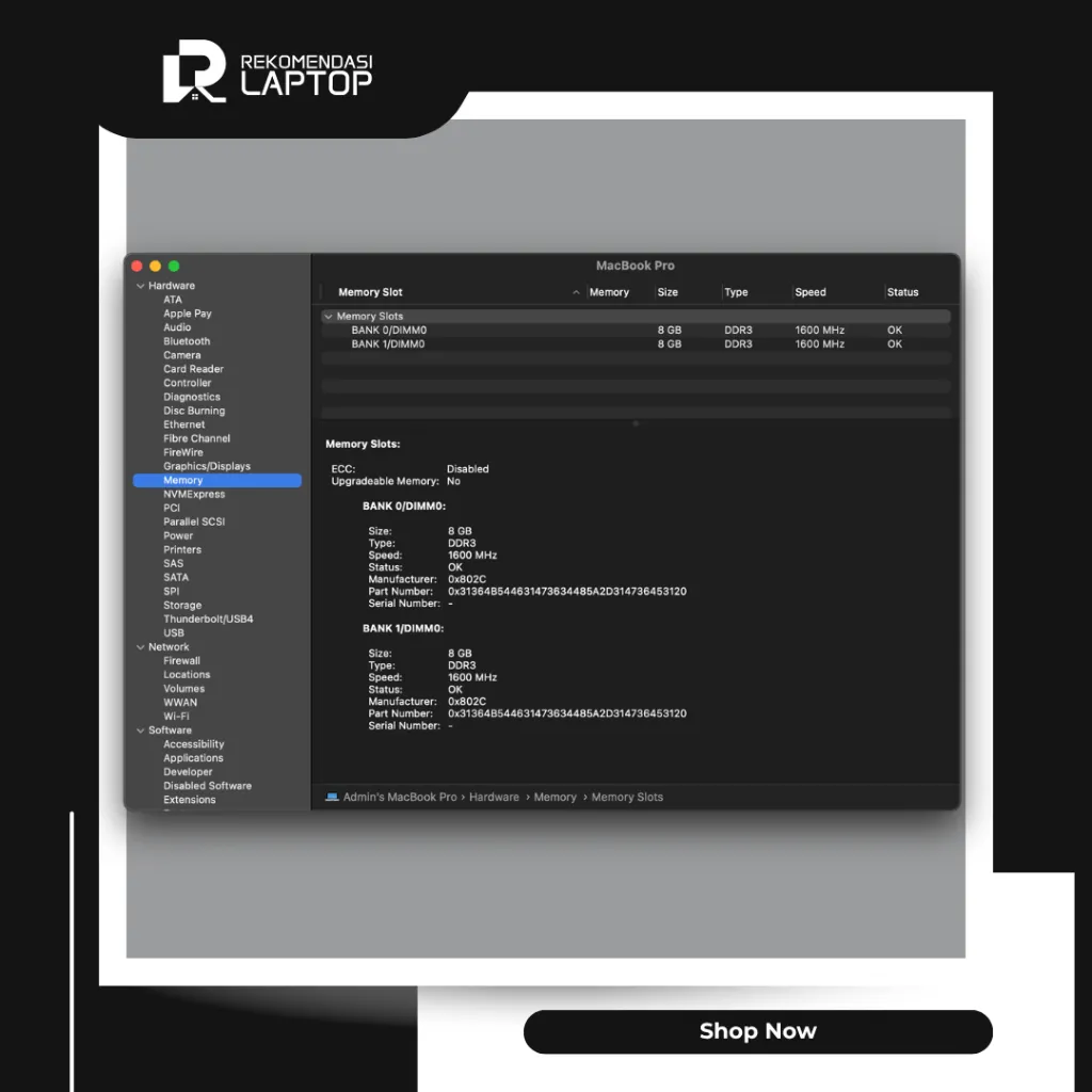 10.webp