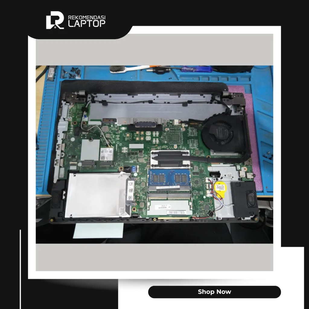 10.webp