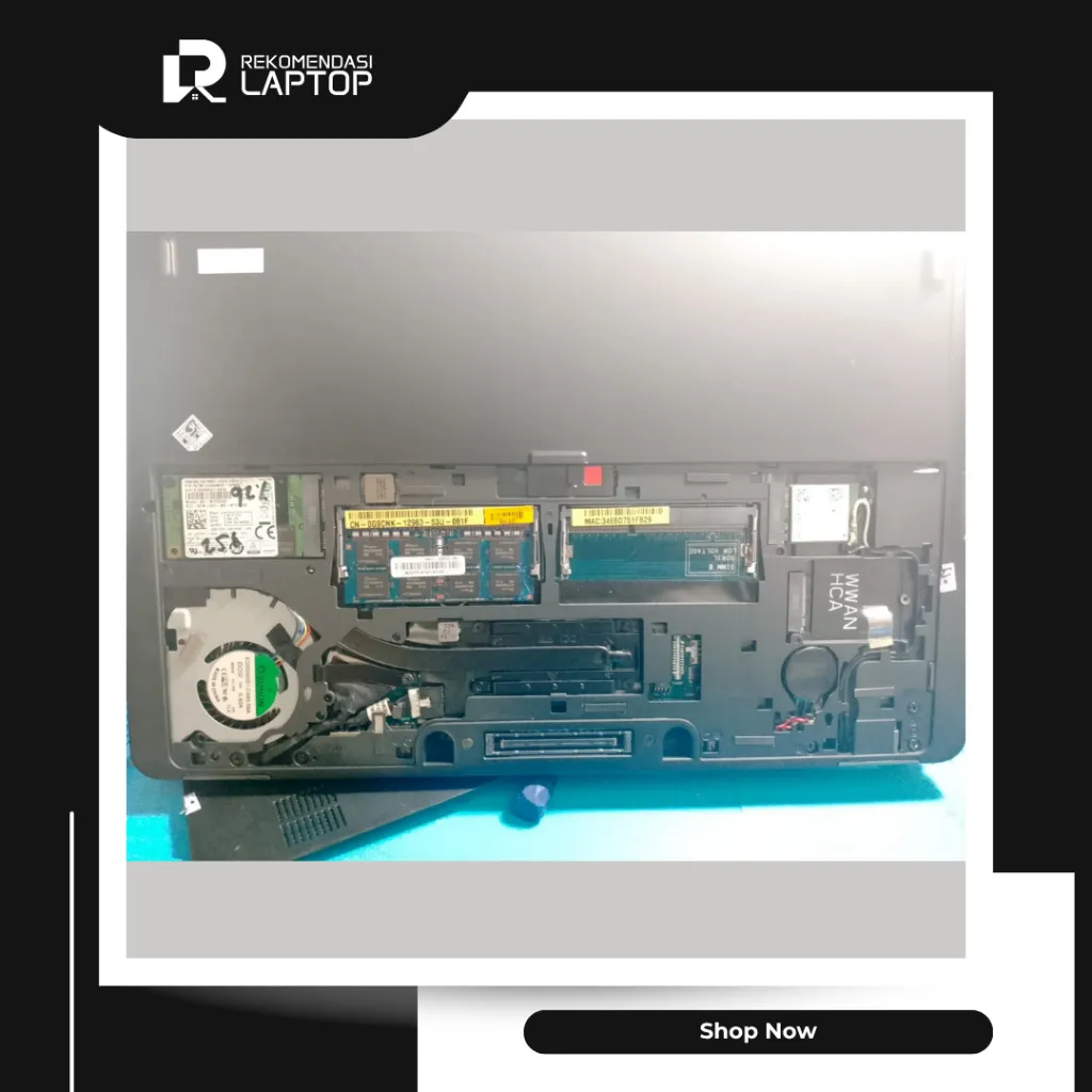 10.webp
