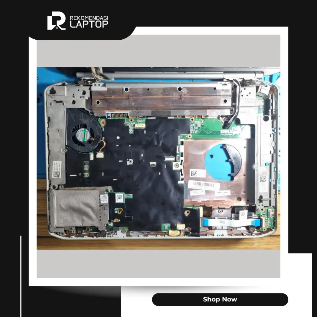 10.webp