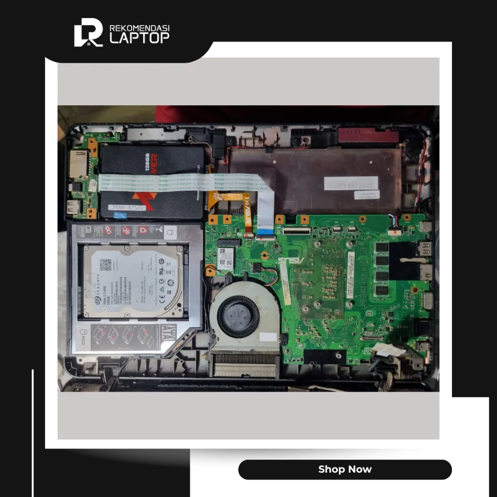 11.webp