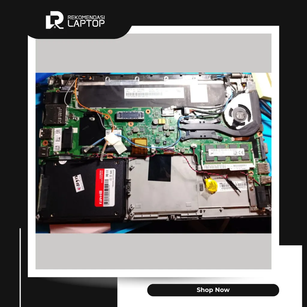 10.webp