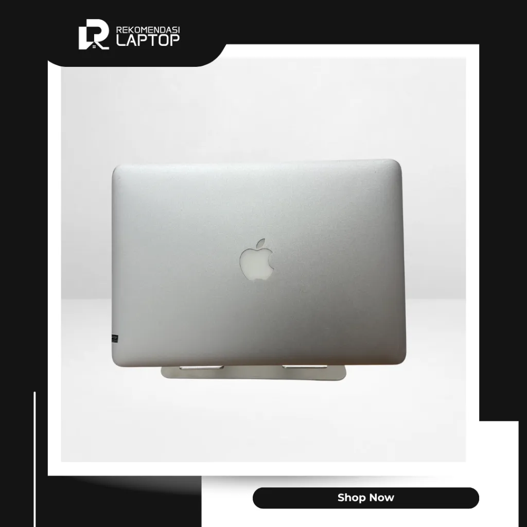 4.webp